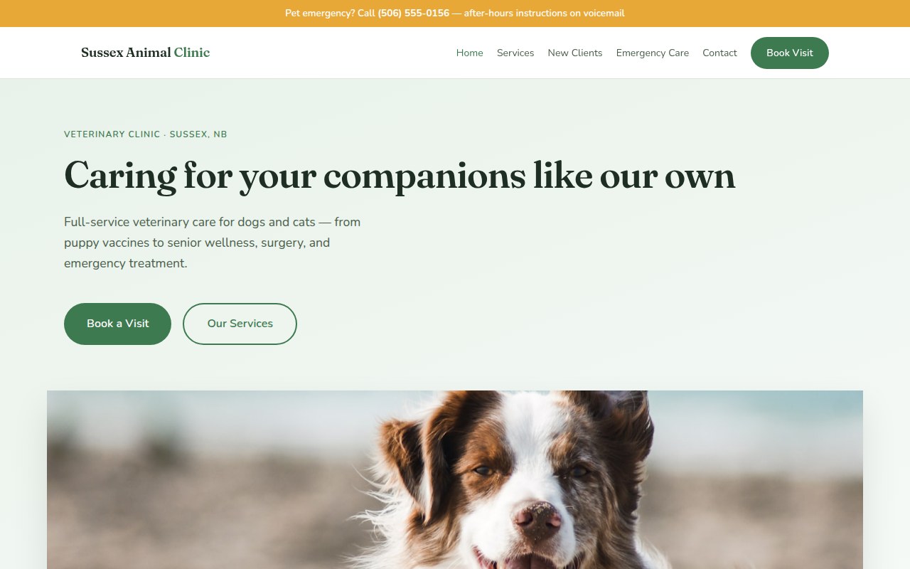 Desktop mockup of a warm, informative website design for a veterinary clinic